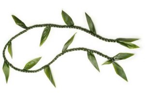 Hawaii Forgiveness Day